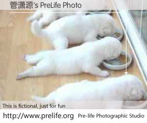 管潇源's PreLife Photo