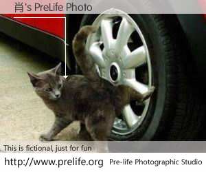 肖's PreLife Photo