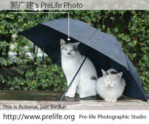 郭广建's PreLife Photo