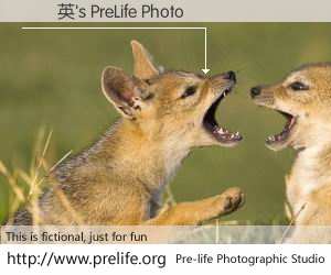 陳潔英's PreLife Photo