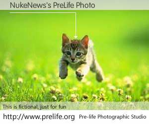 NukeNews's PreLife Photo