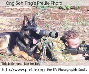 Ong Soh Ting's PreLife Photo
