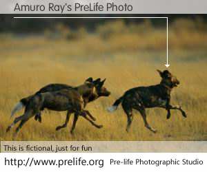 Amuro Ray's PreLife Photo