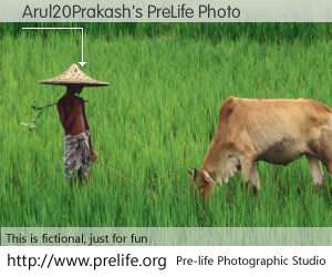 Arul20Prakash's PreLife Photo