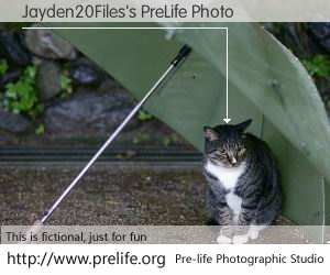 Jayden20Files's PreLife Photo