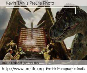 Kevin TAN's PreLife Photo