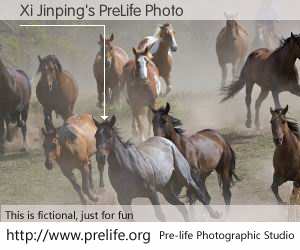 Xi Jinping's PreLife Photo