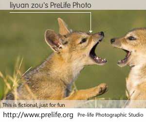 liyuan zou's PreLife Photo