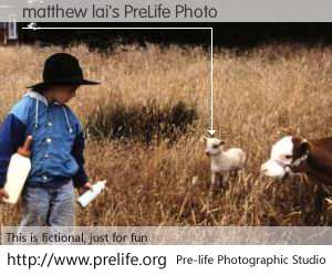 matthew lai's PreLife Photo