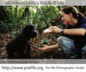 e69d8ee6b48b's PreLife Photo