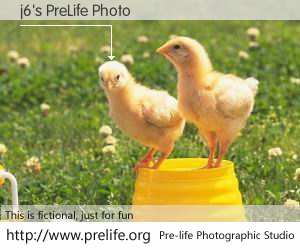 j6's PreLife Photo