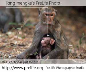 jiang mengke's PreLife Photo