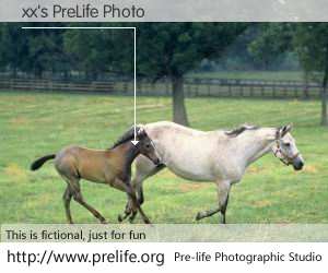 xx's PreLife Photo