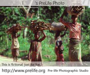 ������'s PreLife Photo