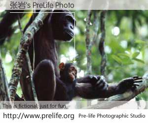 张岩's PreLife Photo