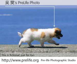 吴 昊's PreLife Photo