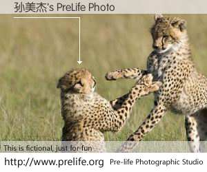 孙美杰's PreLife Photo