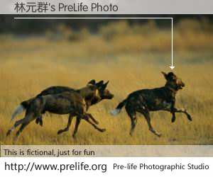 林元群's PreLife Photo
