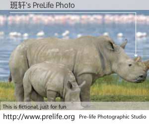 班轩's PreLife Photo
