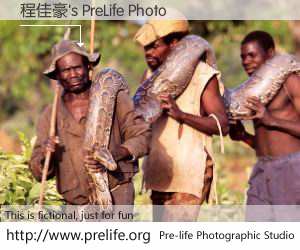 程佳豪's PreLife Photo