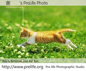 谢玓瓅's PreLife Photo