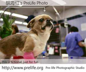 胡海红's PreLife Photo