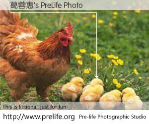 葛蓉惠's PreLife Photo