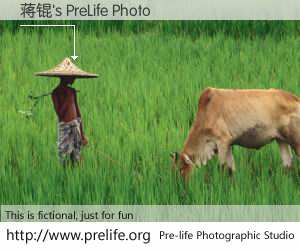 蒋锟's PreLife Photo
