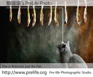 蔡媛媛's PreLife Photo