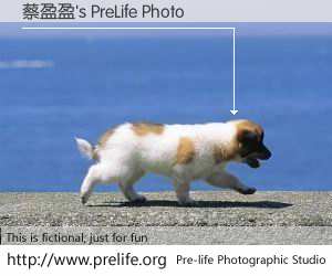 蔡盈盈's PreLife Photo