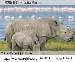 顾伶俐's PreLife Photo