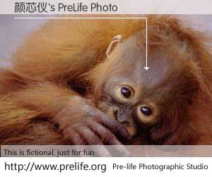 颜芯仪's PreLife Photo