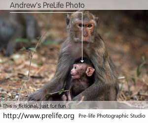 Andrew's PreLife Photo