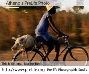 Athena's PreLife Photo