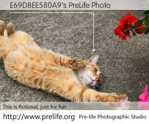 E69D8EE580A9's PreLife Photo