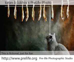 kiran b lakhia's PreLife Photo