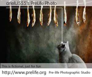 arielU555's PreLife Photo