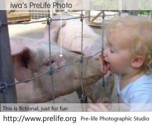 iwa's PreLife Photo