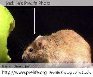 jack jie's PreLife Photo