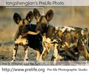 tangshengjian's PreLife Photo