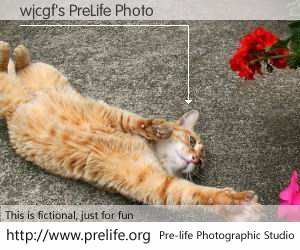 wjcgf's PreLife Photo