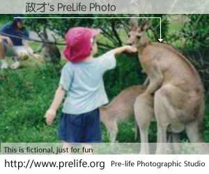孫政才's PreLife Photo