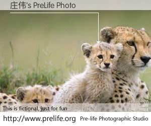 庄伟's PreLife Photo