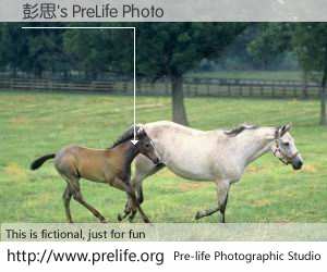 彭思's PreLife Photo