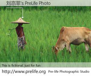 刘亦菲's PreLife Photo