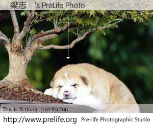 梁志達's PreLife Photo