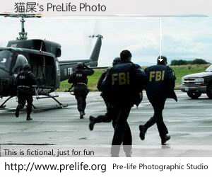 猫屎's PreLife Photo