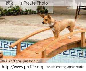 瑙e喅's PreLife Photo