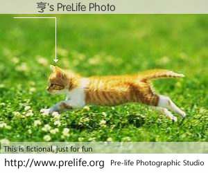 馬時亨's PreLife Photo