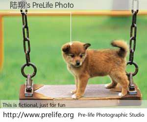 陆翔's PreLife Photo